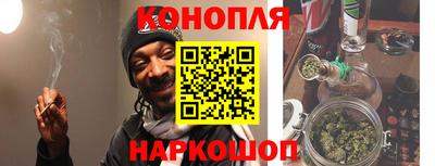 гашик Дубна