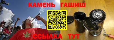 гашик Дубна