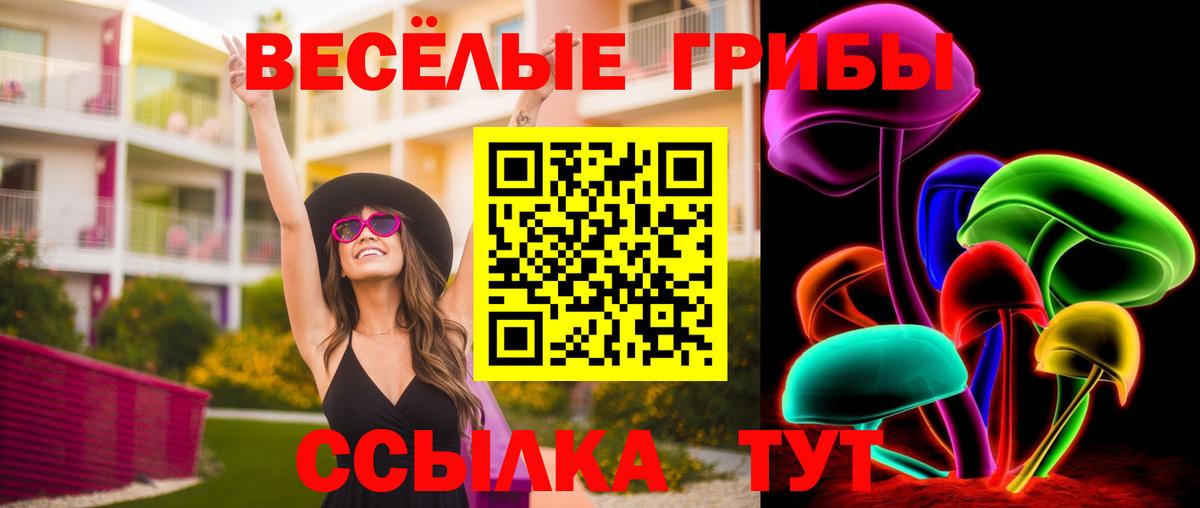 МДМА  ЭКСТАЗИ  Новоалтайск  NBOMe  Мефедрон  Гашиш  Вход с VPN  ГАШИШ  Cocaine  Меф МЯУ МЯУ кристаллы  Бошки Шишки 